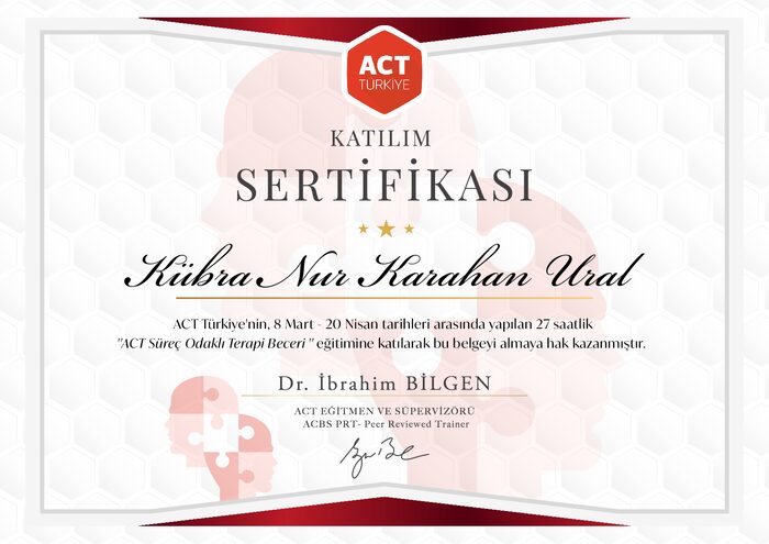 ACT Süreç Odaklı Terapi Beceri sertifikası