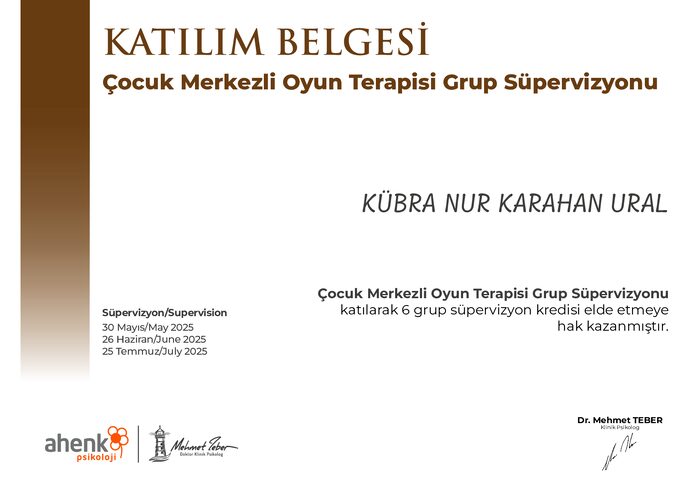Çocuk Merkezli Oyun Terapisi Grup Süpervizyonu sertifikası